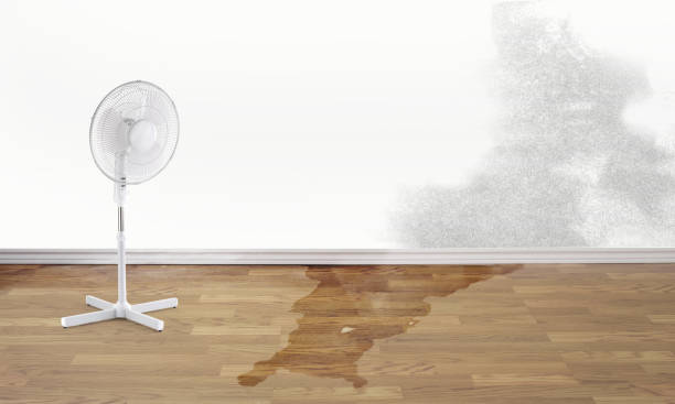  South Pasadena, CA Water damage restoration Pros