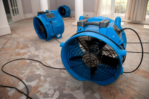 Best Flooded house restoration  in South Pasadena, CA