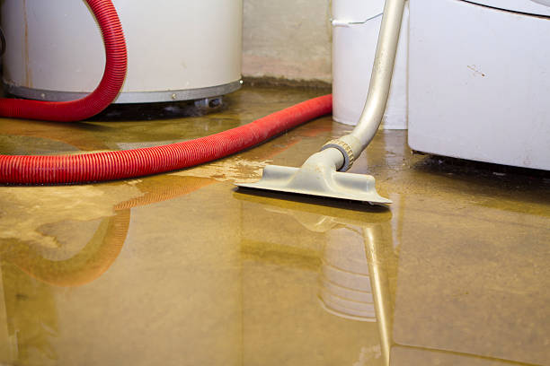Best Emergency water extraction  in South Pasadena, CA