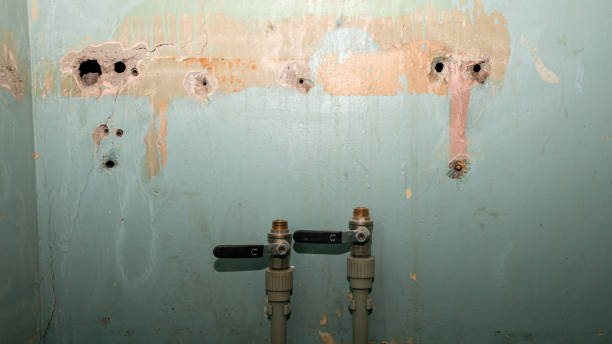 Water damage restoration experts in CA